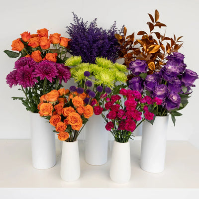 Halloween Hocus Pocus DIY Flower Kit