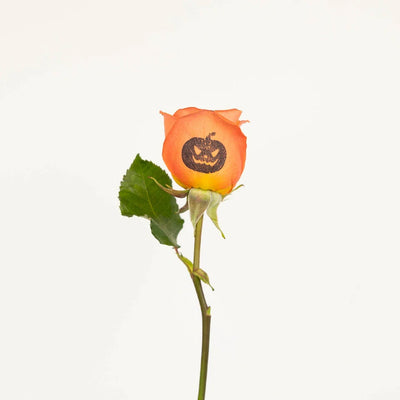 Halloween Jack O Lantern Personalized Roses