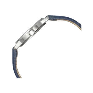 Helix Men Silver & Blue