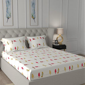 Fitted King Size Cotton Bedsheet - humming bird
