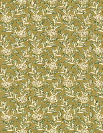 Sage and Olive