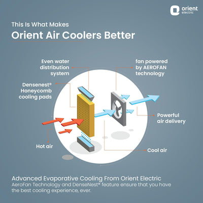 Ocean Air Desert Cooler with Honeycomb Pads