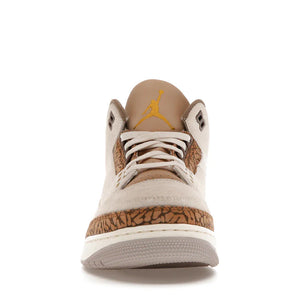 Nike Air Jordan 3 'Palomino'