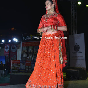 Red Zardogi Work Handloom Silk Bridal Lehenga Choli
