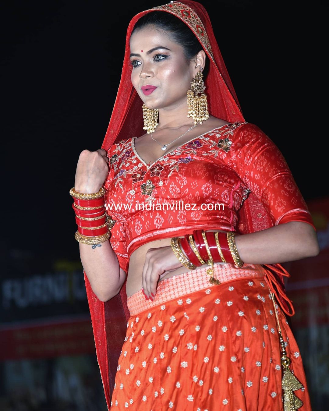 Red Zardogi Work Handloom Silk Bridal Lehenga Choli