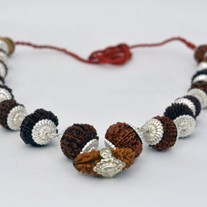 Indrakshi Mala with silver cap made by 1-14 Mukhi Rudraksha (Length 36cm approx)
