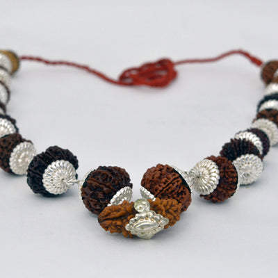 Indrakshi Mala with silver cap made by 1-14 Mukhi Rudraksha (Length 36cm approx)