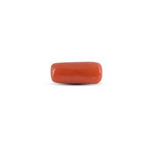 Red Coral - 3.95 Carat