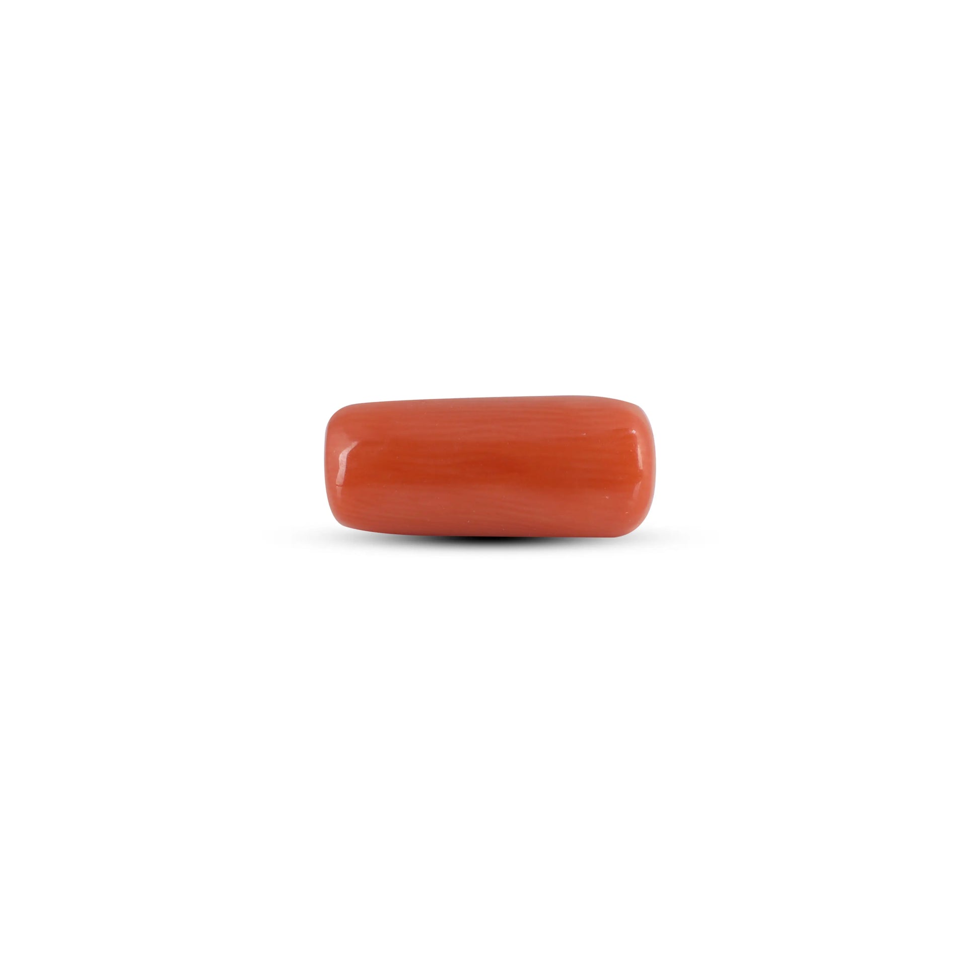Red Coral - 3.95 Carat