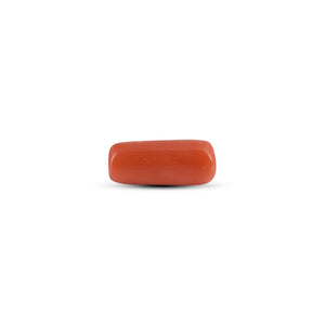 Red Coral - 3.95 Carat