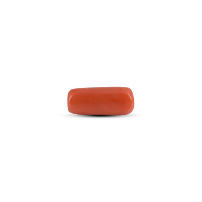 Red Coral - 3.95 Carat
