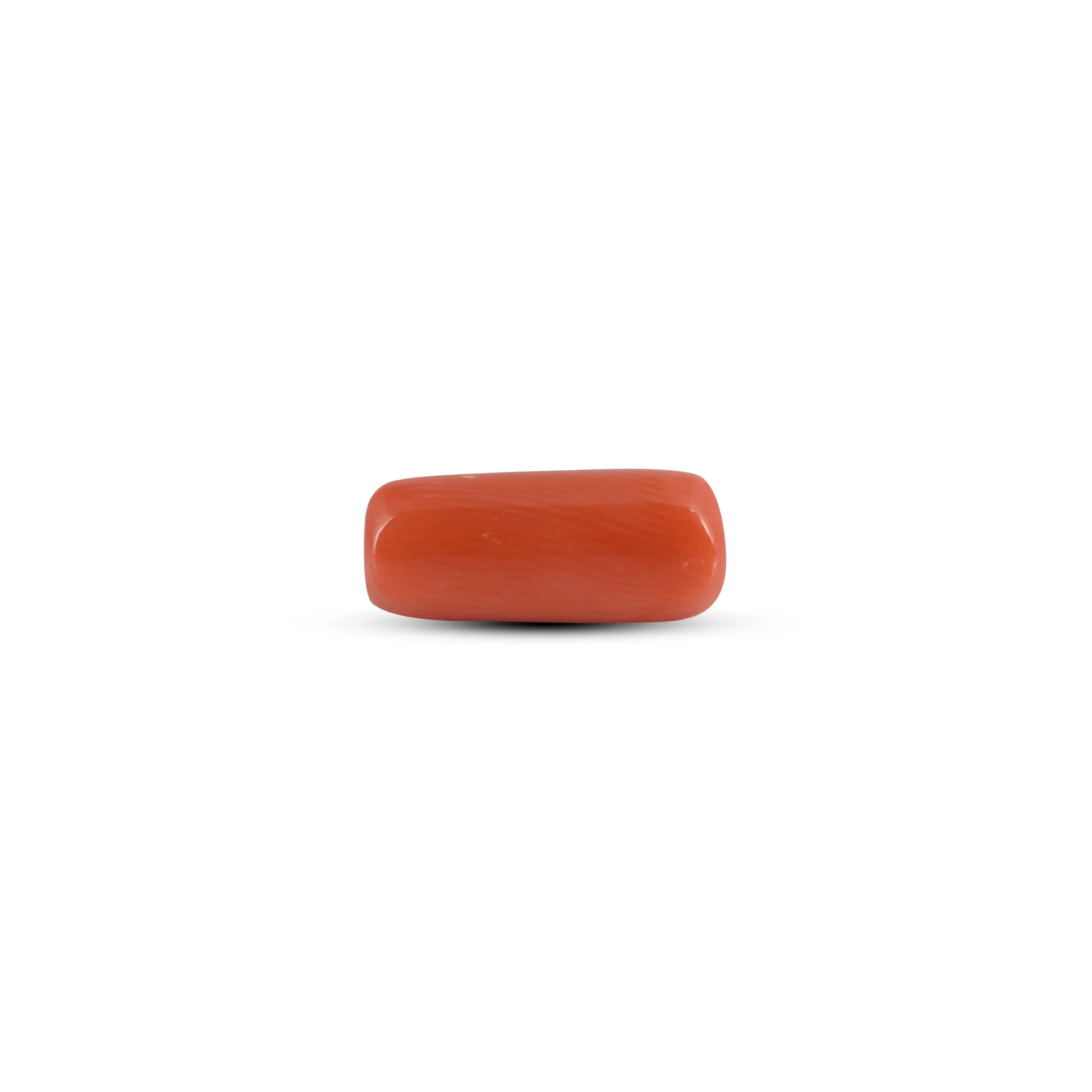 Red Coral - 3.95 Carat