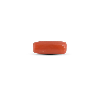Red Coral - 3.95 Carat