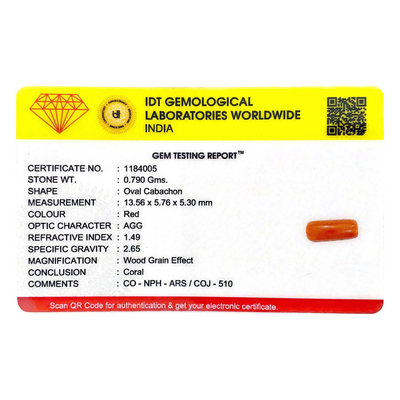 Red Coral - 3.95 Carat
