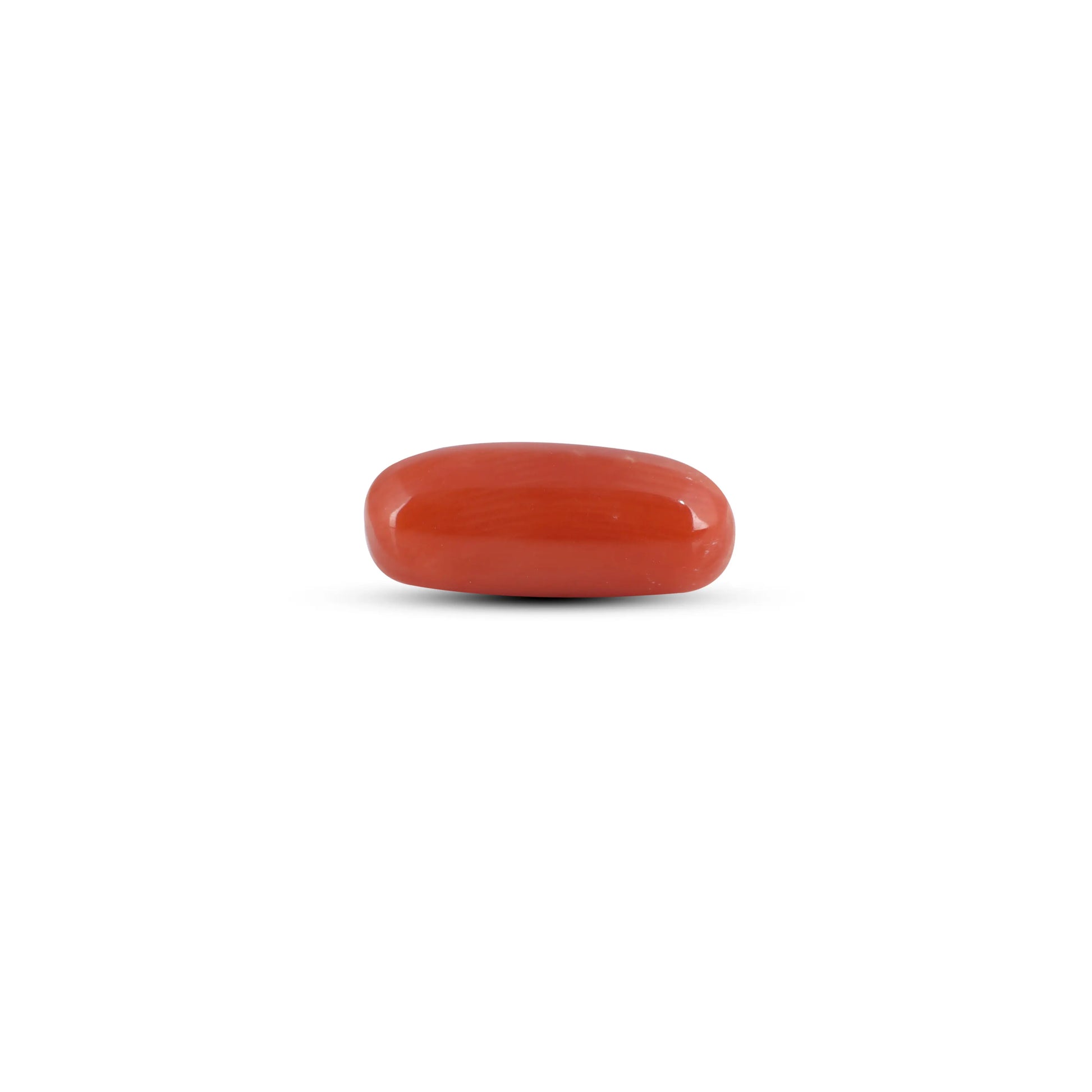 Red Coral - 3.85 Carat