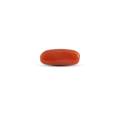 Red Coral - 3.85 Carat