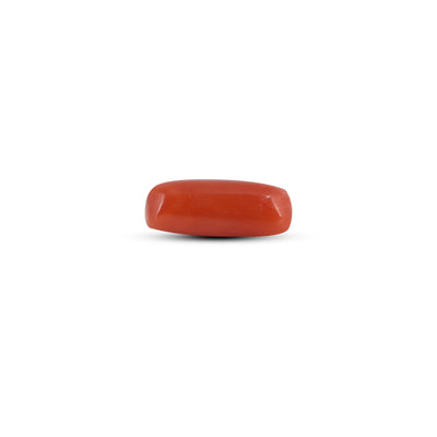 Red Coral - 3.85 Carat