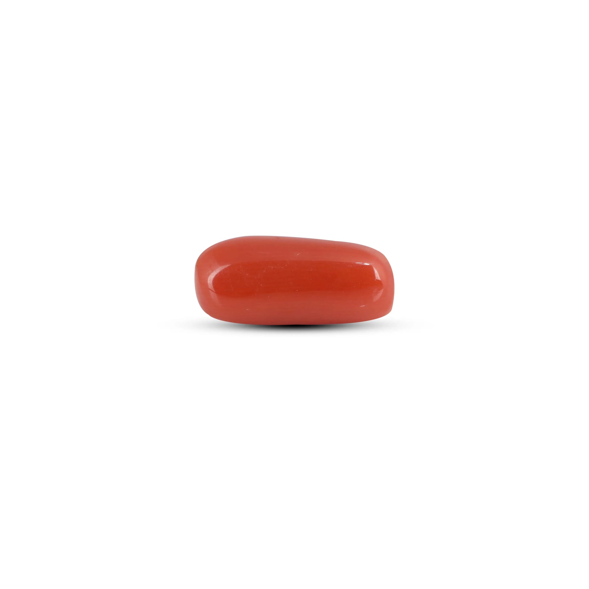 Red Coral - 3.3 Carat