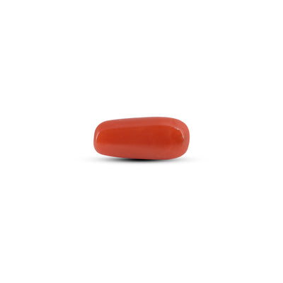 Red Coral - 3.3 Carat