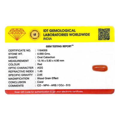Red Coral - 3.3 Carat