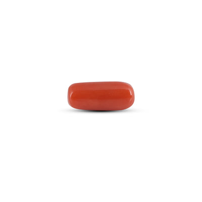 Red Coral - 3.88 Carat