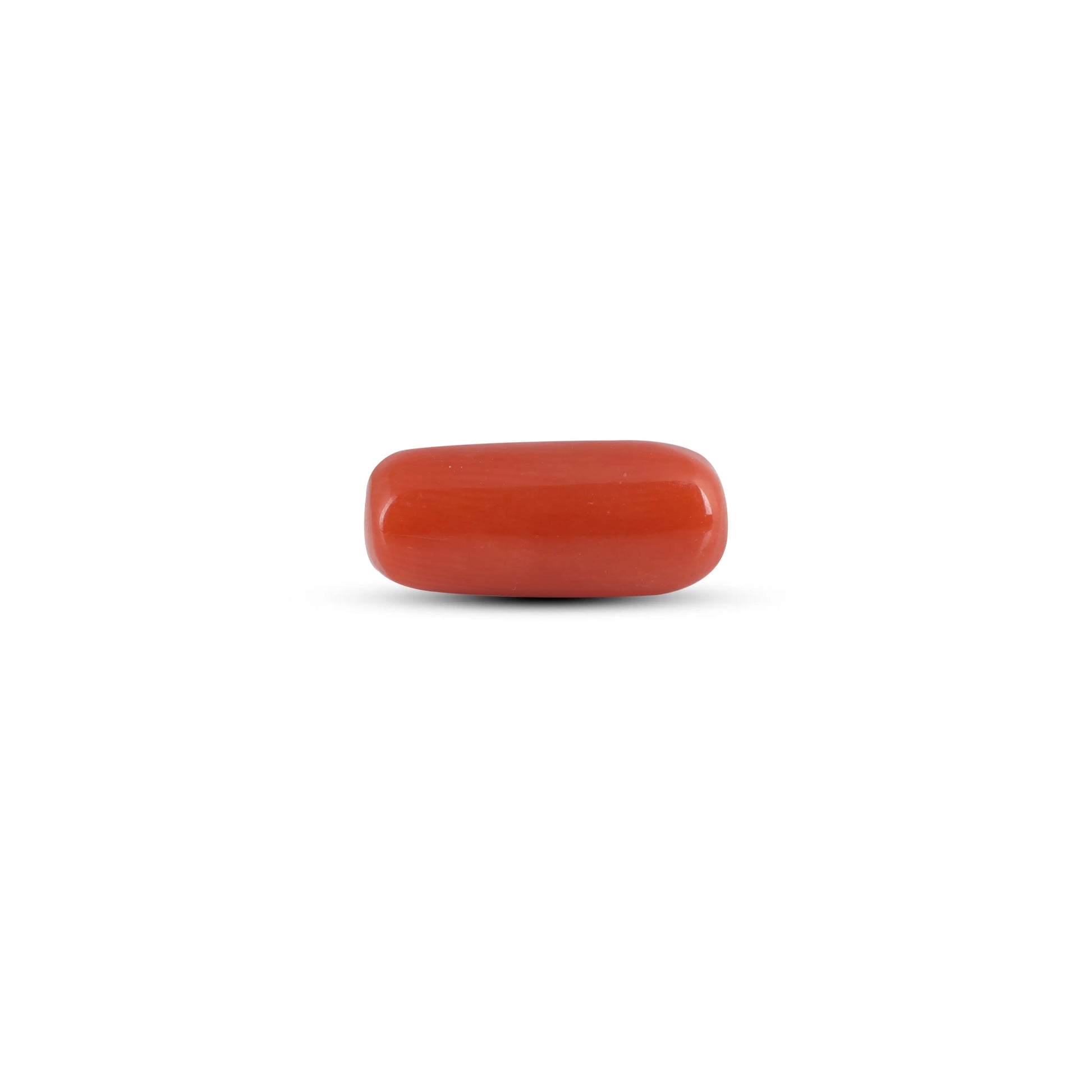 Red Coral - 3.88 Carat