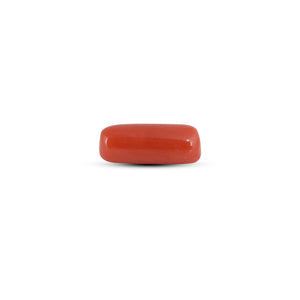 Red Coral - 3.88 Carat