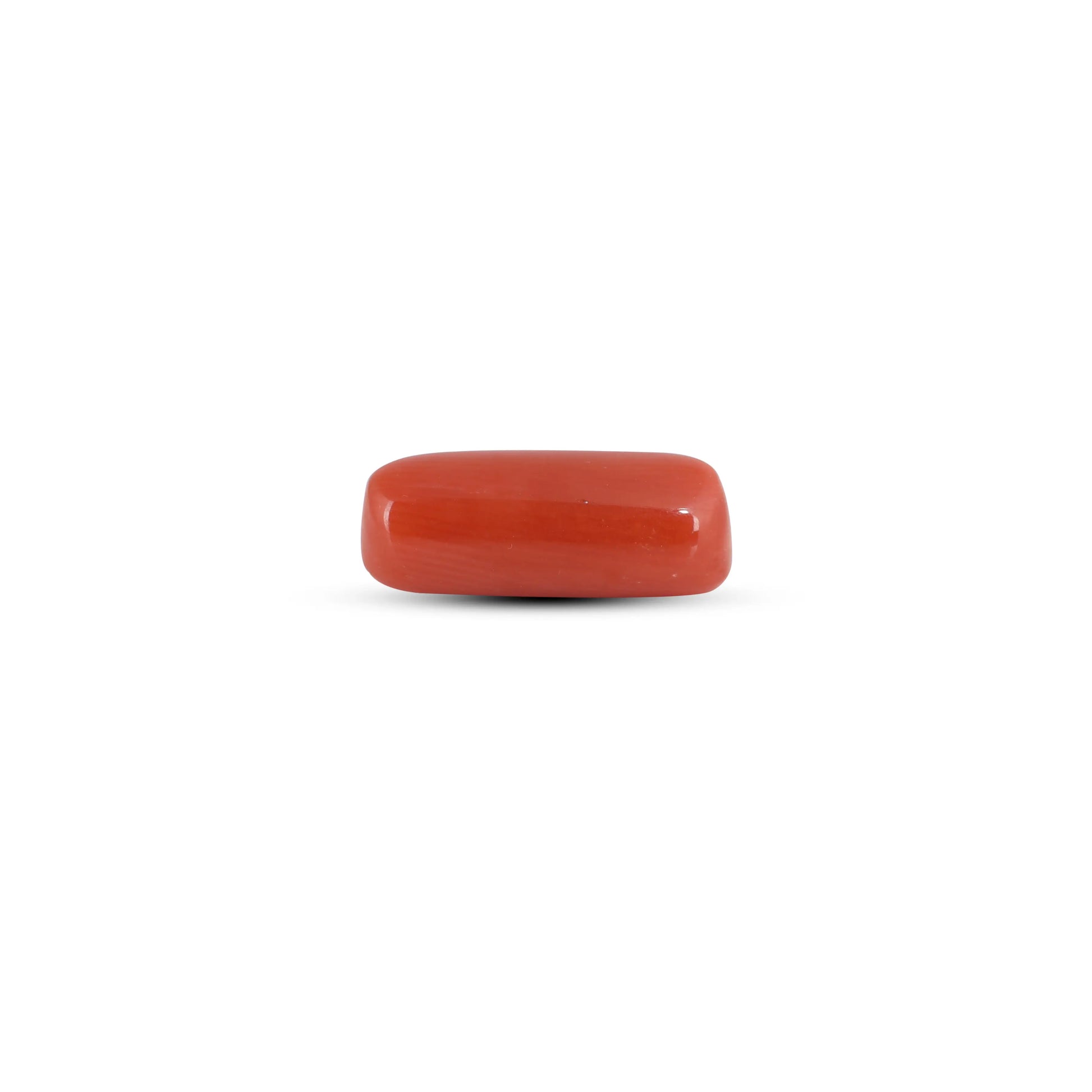 Red Coral - 3.88 Carat