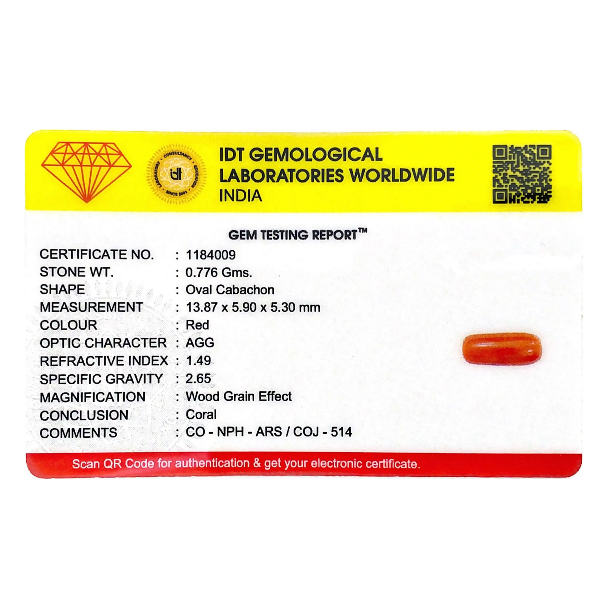 Red Coral - 3.88 Carat