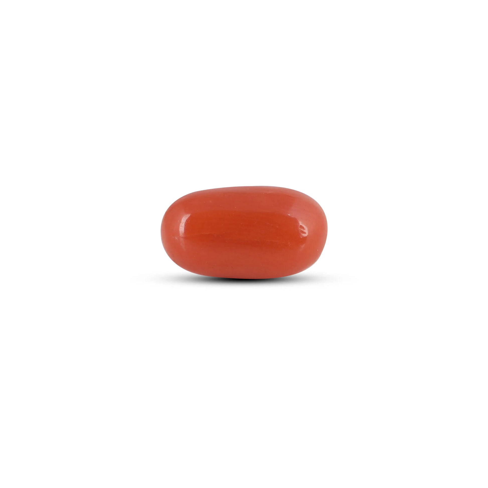 Red Coral - 2.5 Carat