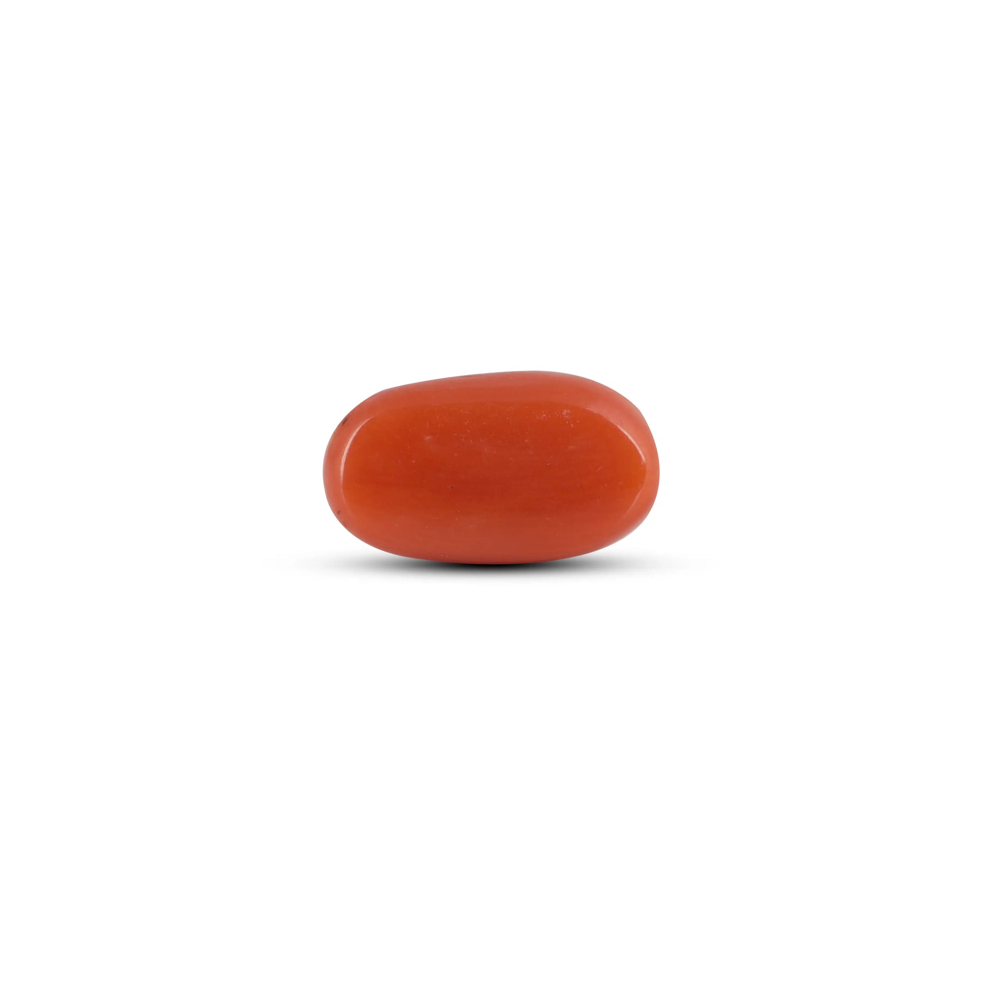 Red Coral - 2.5 Carat