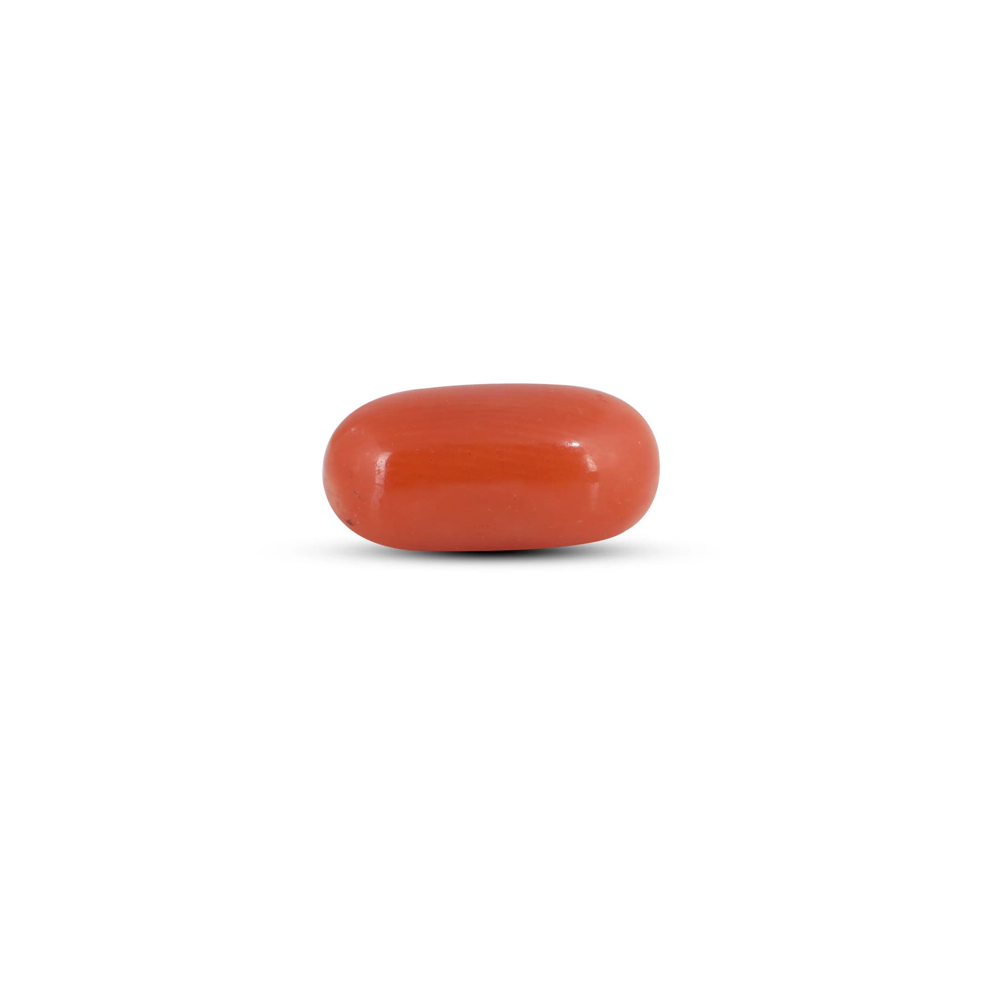 Red Coral - 2.5 Carat