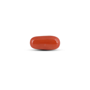 Red Coral - 4.1 Carat