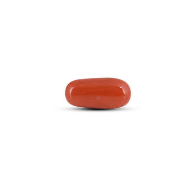 Red Coral - 4.1 Carat