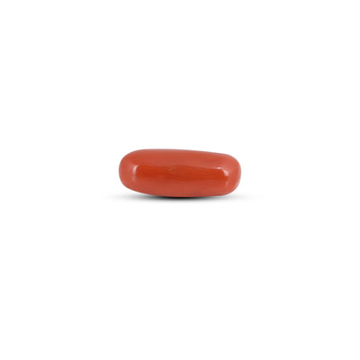 Red Coral - 4.1 Carat