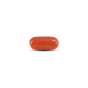 Red Coral - 3.88 Carat