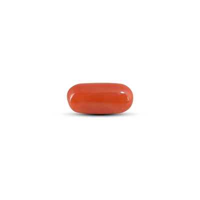 Red Coral - 3.88 Carat