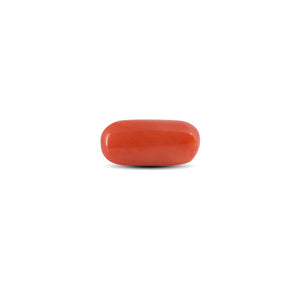 Red Coral - 3.88 Carat