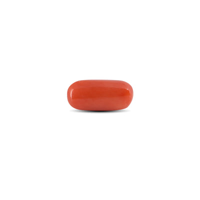Red Coral - 3.88 Carat