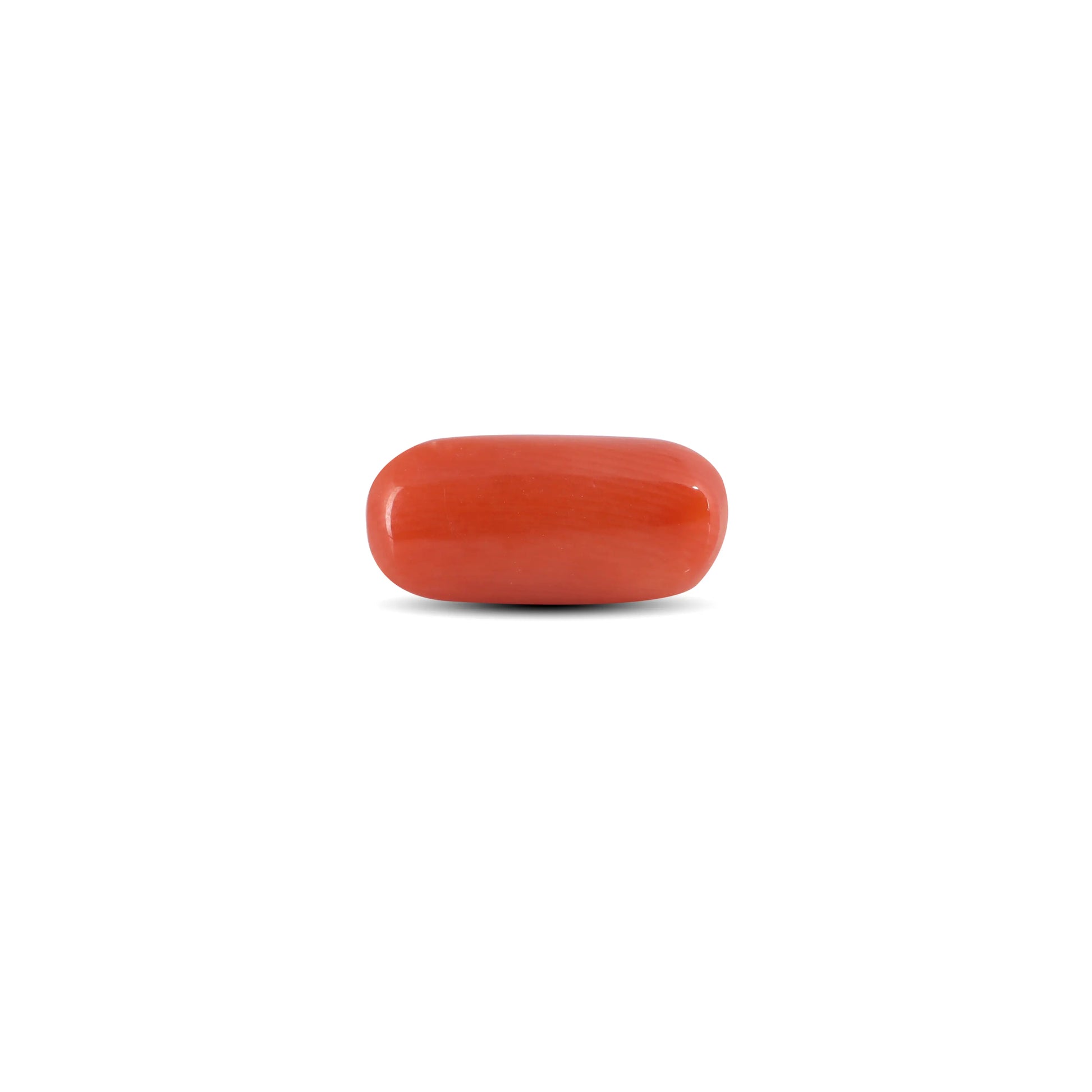 Red Coral - 3.88 Carat