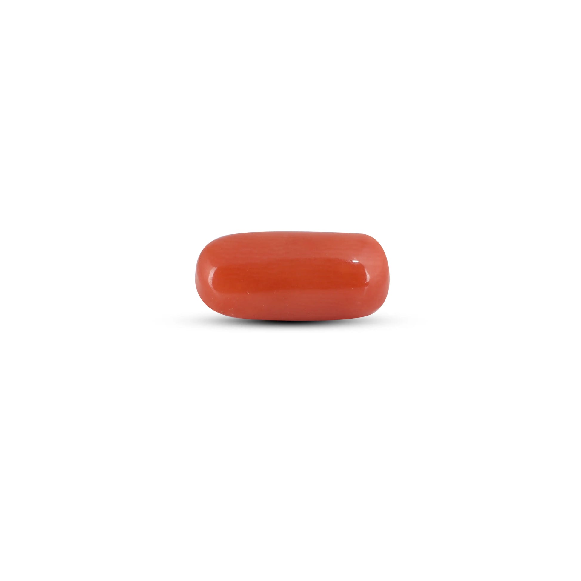 Red Coral - 3.88 Carat