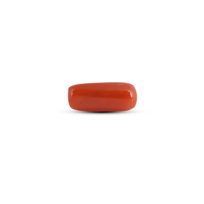Red Coral - 3.1 Carat