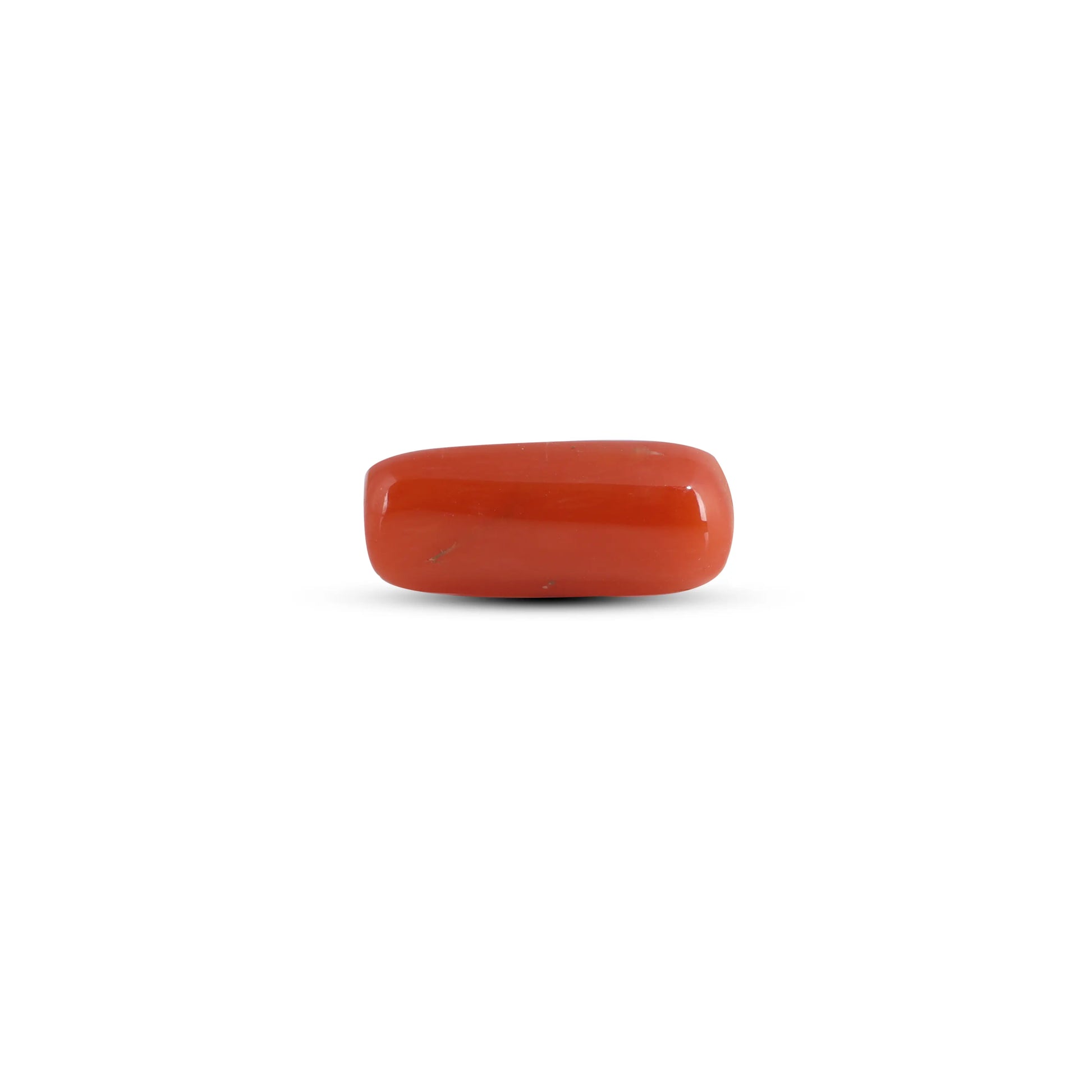 Red Coral - 3.1 Carat