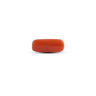 Red Coral - 3.1 Carat