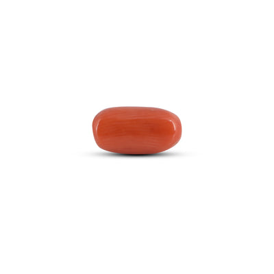 Red Coral - 3.32 Carat