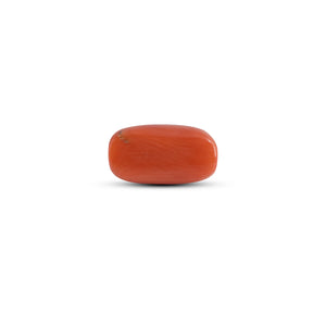 Red Coral - 3.32 Carat