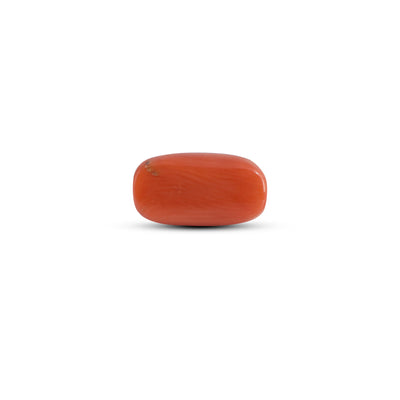 Red Coral - 3.32 Carat
