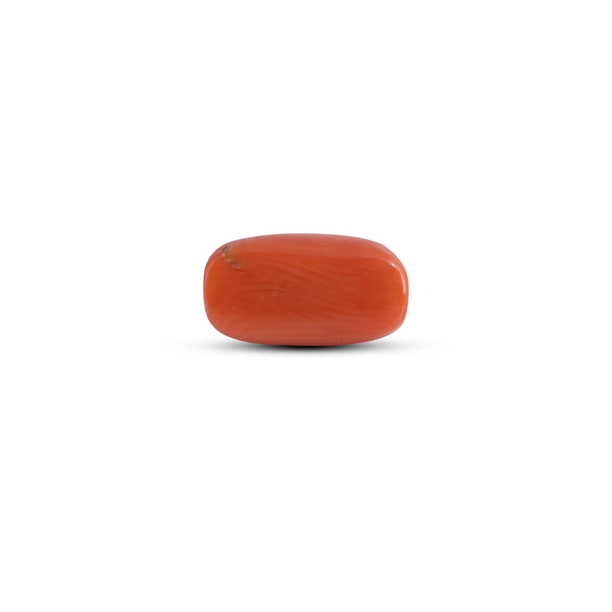 Red Coral - 3.32 Carat