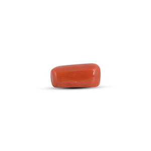 Red Coral - 3.32 Carat