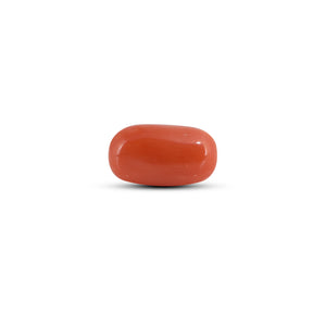 Red Coral - 3.6 Carat